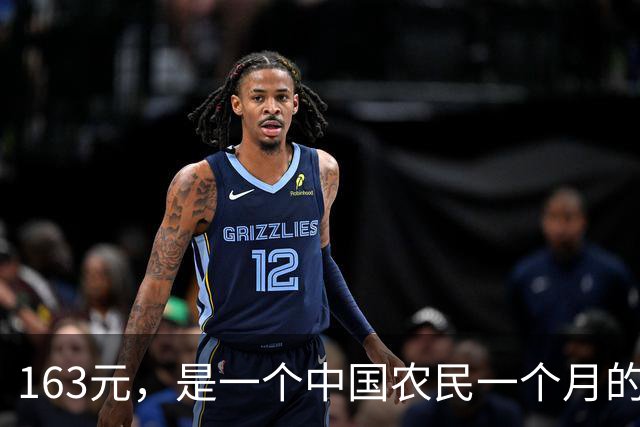 163元，是一个中国农民一个月的全部尊严和保障吗？